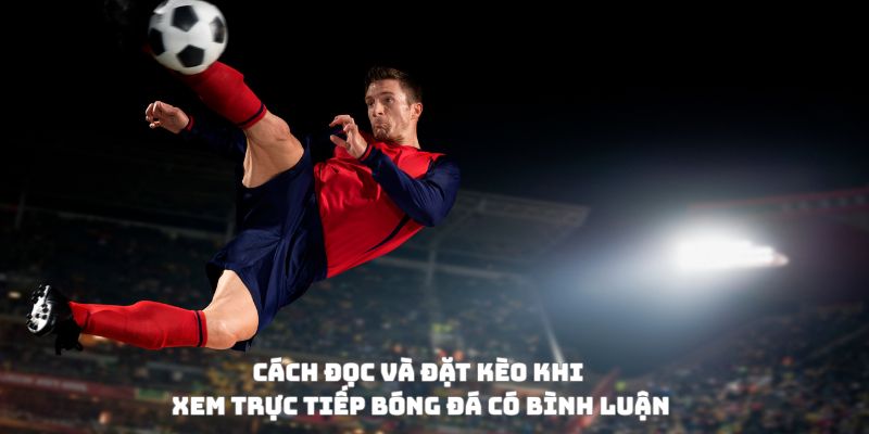 Cách đọc và đặt kèo khi xem trực tiếp bóng đá có bình luận